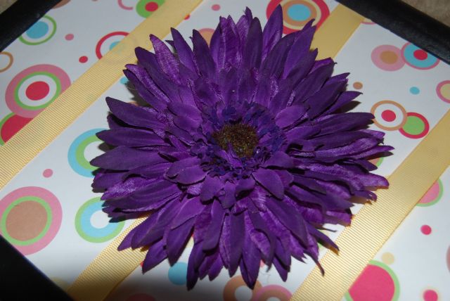 Big Dark Purple Daisy Clip - Click Image to Close